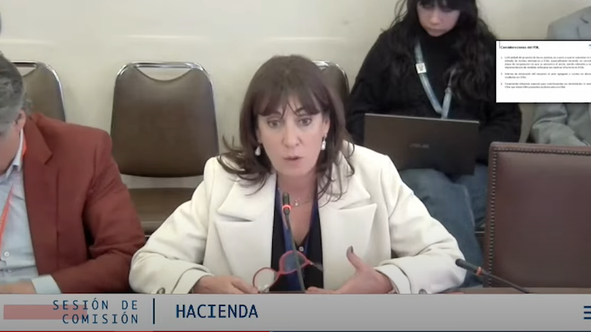 La presidenta ejecutiva de Fedetur, Mónica Zalaquett, presentó frente a la Comisión de Hacienda. - Ladevi Medios y Soluciones La presidenta ejecutiva de Fedetur, Mónica Zalaquett, presentó frente a la Comisión de Hacienda.