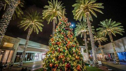 Esto es todo lo que puedes hacer este fin de año en Miami