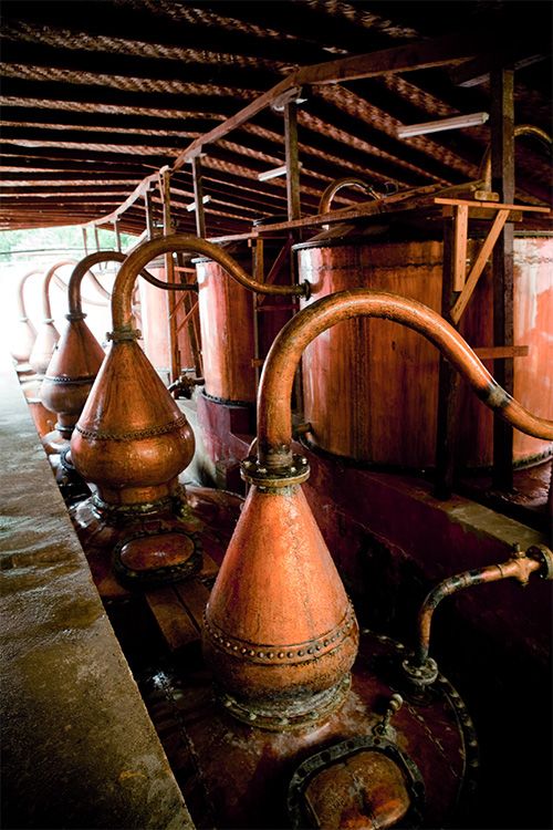 En el Perú el pisco se elabora a partir del jugo puro de uva y se almacena en tinajas, totalmente distinto al proceso de los aguardientes de uva hechos en otros lugares del mundo