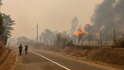 Incendios en el sur: 