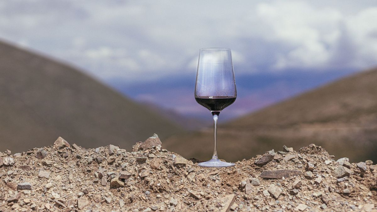 El enoturismo viene pisando fuerte en la cultura del viajero argentino.
