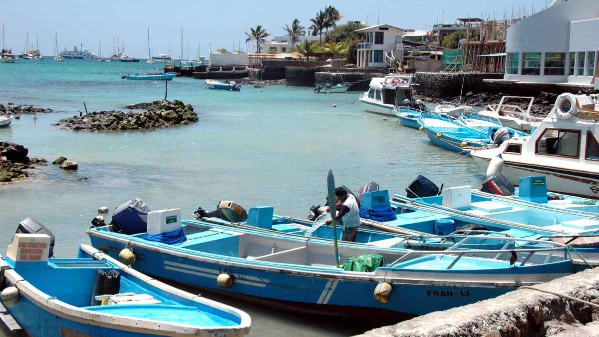 Santa Cruz es una de las puertas de entrada más importantes a Galápagos y reúne tortugas gigantes, paisajes volcánicos y playas emblemáticas como Tortuga Bay.
