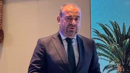 Gabriel Escarrer, CEO de Meliá Hotel International.&nbsp;