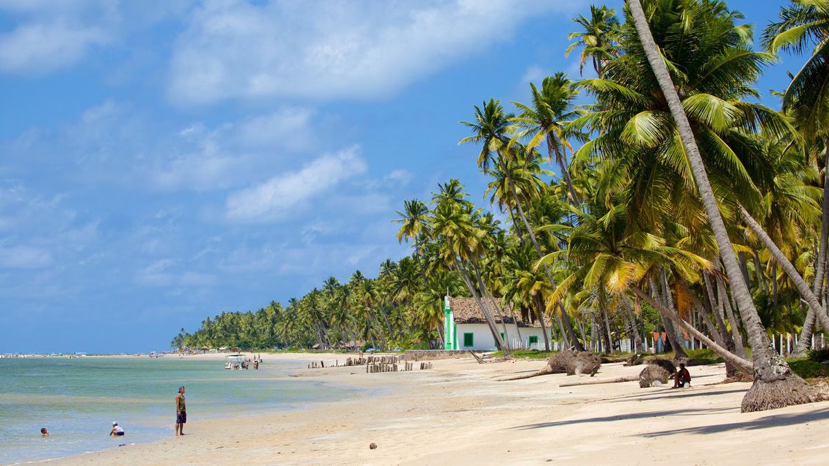 Verano en Brasil: conocé tres playas paradisiacas para unas vacaciones imperdibles.
