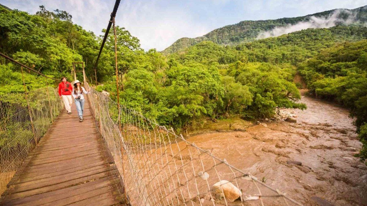 Aventurate en el Parque Nacional Baritú en estas vacaciones de verano 2025.