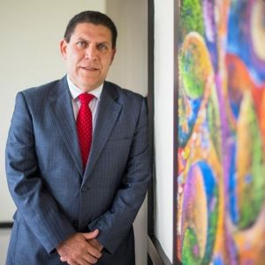- Ladevi Medios y Soluciones