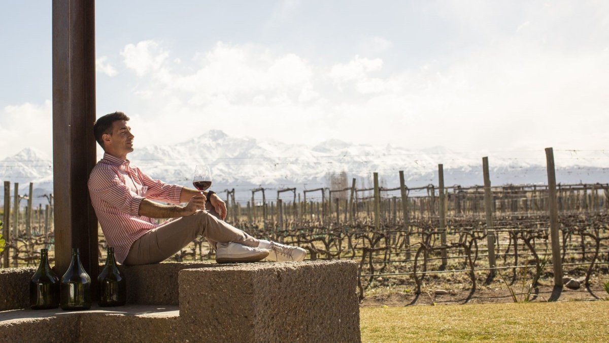 Semana Santa 2025: Mendoza cuenta con 5 subregiones dedicadas al vino.&nbsp;