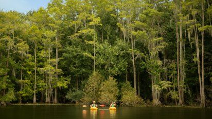 Día de la Tierra: Kissimmee anuncia iniciativas de sostenibilidad