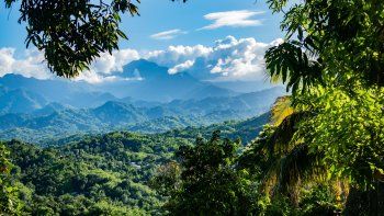 Blue Mountains en Jamaica es el destino perfecto para los amantesde la aventura y el buen café.