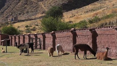 Escapadas a Cusco: 5 actividades para realizar en familia