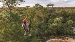 Los entornos naturales de Kissimmee también se disfrutan a pie o en bicicleta.