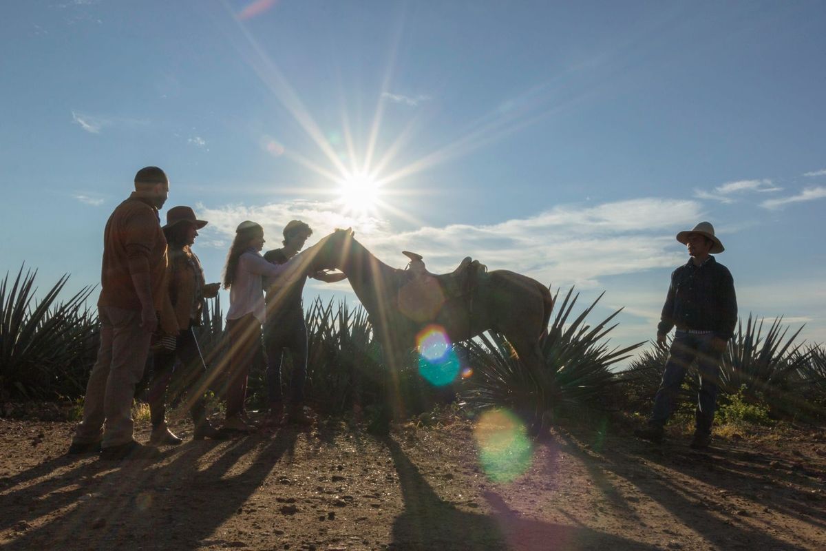 Miguel Torruco Marqués, informó&nbsp; que con base en los índices de la llegada de turistas internacionales al momento, las expectativas se ajustaron a la alza.
