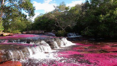 &ldquo;El r&iacute;o que se escap&oacute; del para&iacute;so&rdquo;, llamado as&iacute; por el ecologista colombiano Andr&eacute;s Hurtado