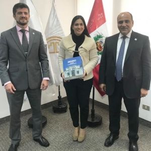 - Ladevi Medios y Soluciones