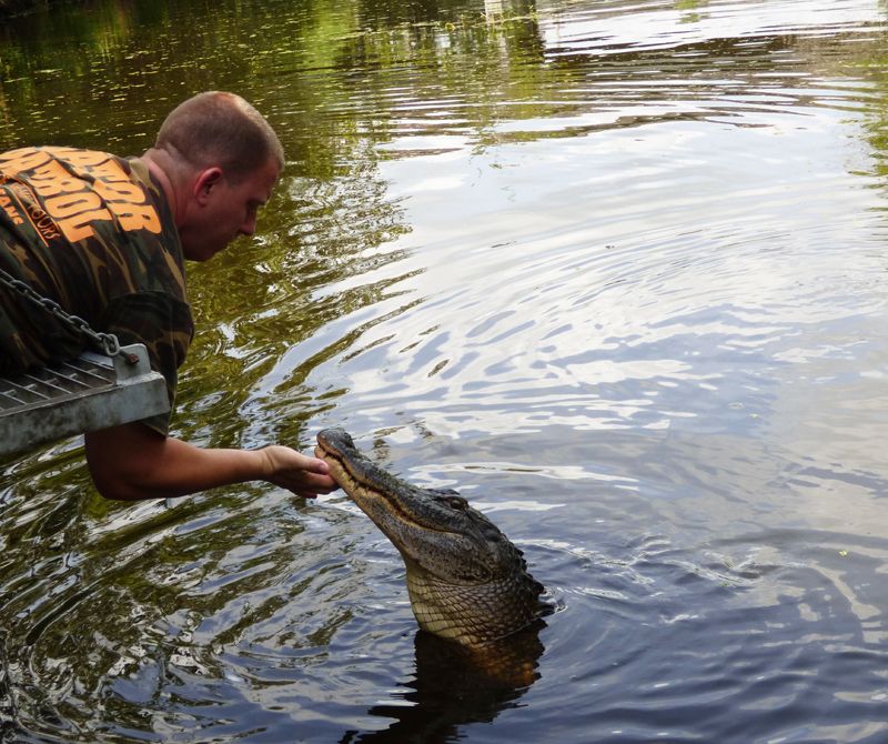 Interaccion con la naturaleza. Otro de los imperdibles en los alrededores de Nueva Orleans