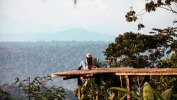 Destinos de la Amazonía y sierra ecuatoriana tuvieron una alta ocupación hotelera durante el feriado del Primer Grito de Independencia 2023. 