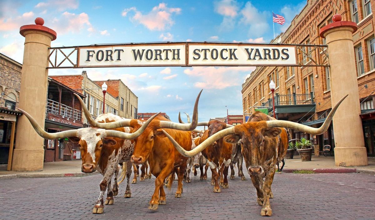 Copa Mundial de la FIFA 2026 en Estados Unidos: Ft. Worth se encuentra a 14 km. del AT&T Stadium.