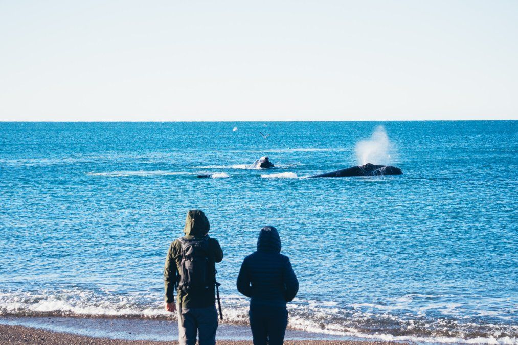 The Real Patagonian Experience es una invitación para crear espacios de disfrute muy cerca de la naturaleza y a establecer una conexión genuina entre el entorno social y cultural.