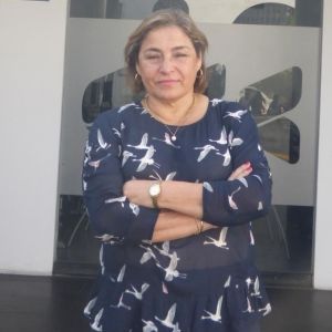 - Ladevi Medios y Soluciones