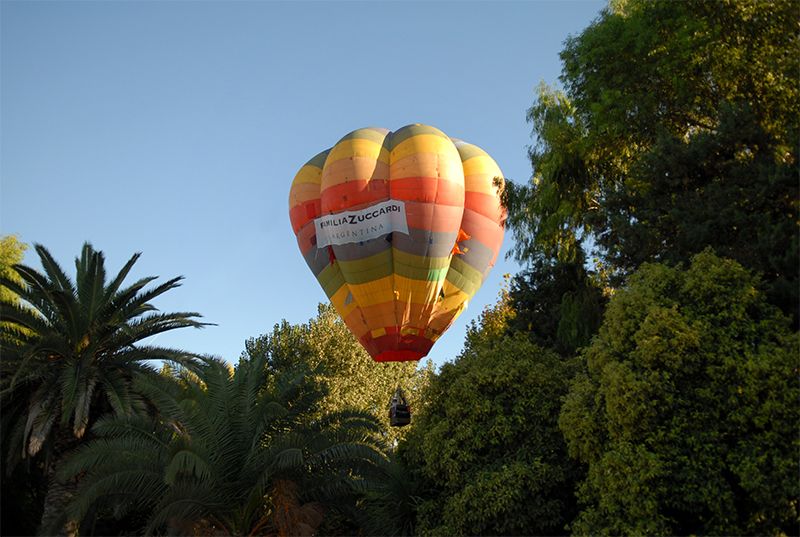 Vuelo sobre los viñedos y las montañas en Mendoza.