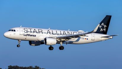 ¿Cuáles son las aerolíneas dentro de Star Alliance?