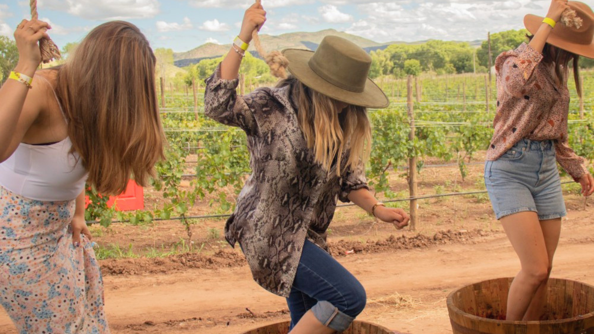 Entre bellos paisajes, bodegas y gastronomía local, los viñedos de Chihuahua son un imperdible.