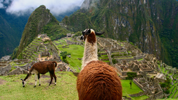 Perú Imperdible: descubrí el increíble legado de los incas y sus huellas coloniales