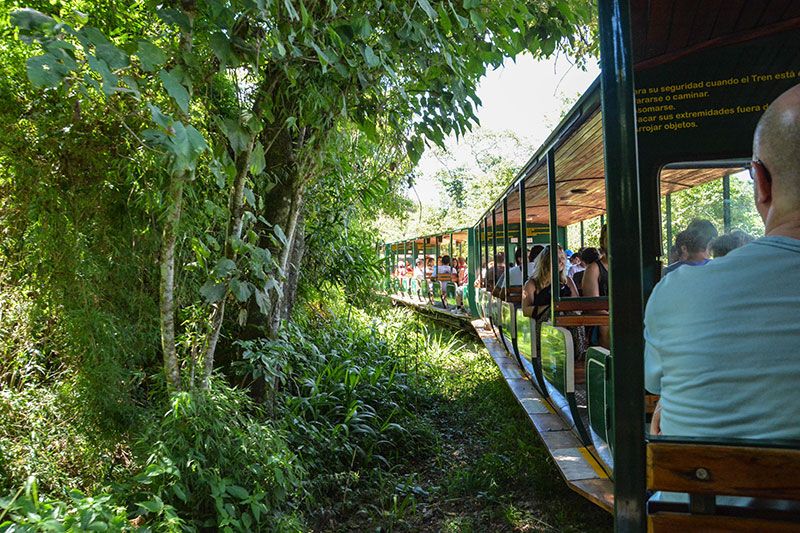 El Tren de Selva conecta a los pasajeros con la imponente Garganta del Diablo en Iguazú.
