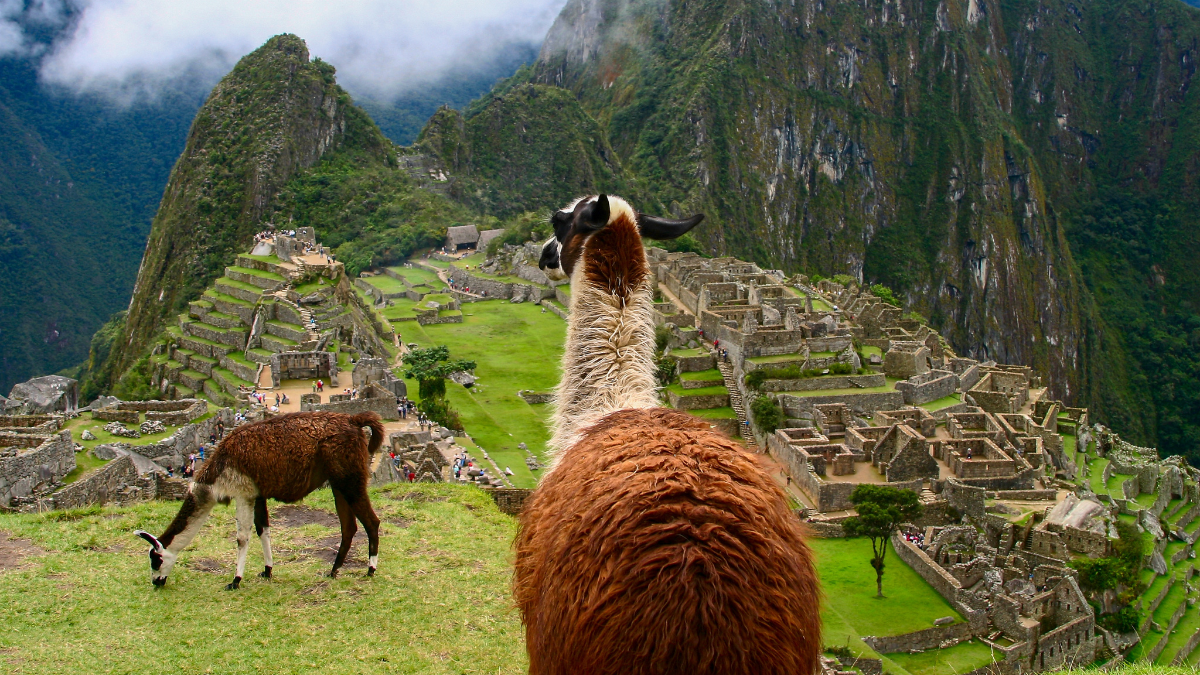 Machu Picchu es una de las Siete Maravillas del Mundo Moderno.