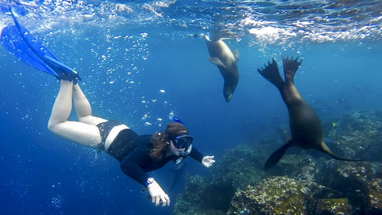 Científicos monitorean el impacto del turismo de buceo en la reserva marina de Galápagos.