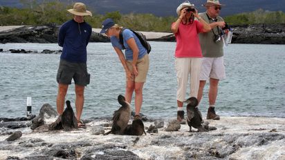 Galápagos alcanzó cifras récord de visitas en primer trimestre de 2023