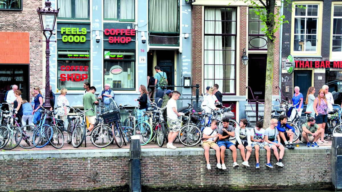 La bicicleta es uno de los principales medios de transporte en Ámsterdam, reflejando su estilo de vida sostenible.