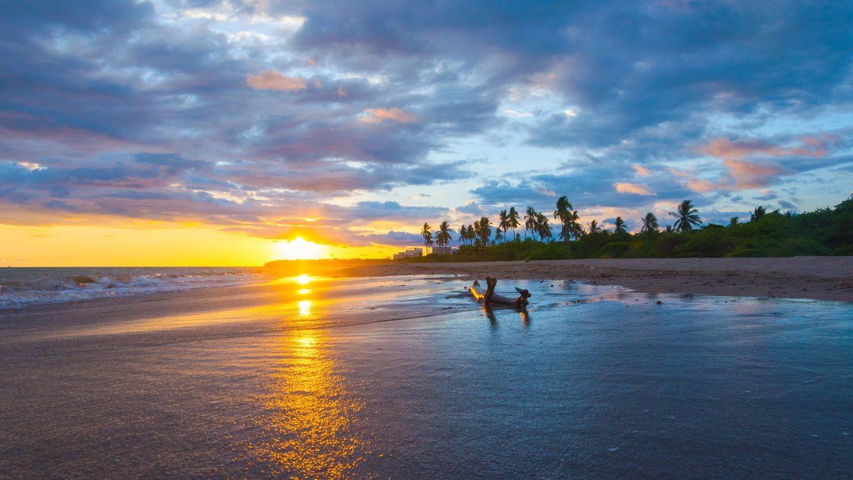 La participación de Puerto Vallarta en este evento favoreció la generación de nuevos contactos y se dio a conocer el programa de capacitación en línea PV Specialist.