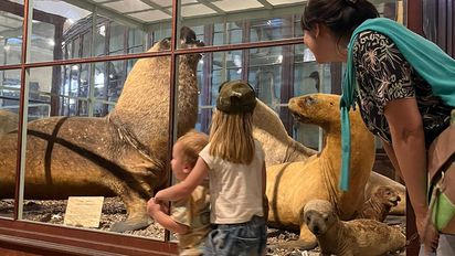 Escapadas: 3 excursiones para pasear con chicos cerca de Buenos Aires