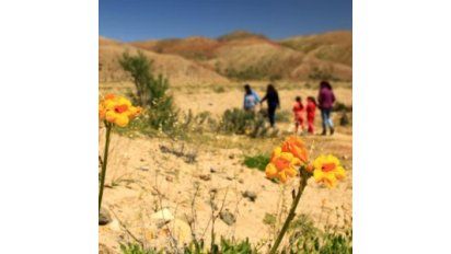 El Sernatur prepara la oferta turística para el Desierto Florido