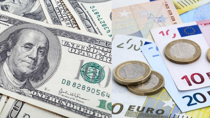 Tasa representativa del mercado del dólar y euro.