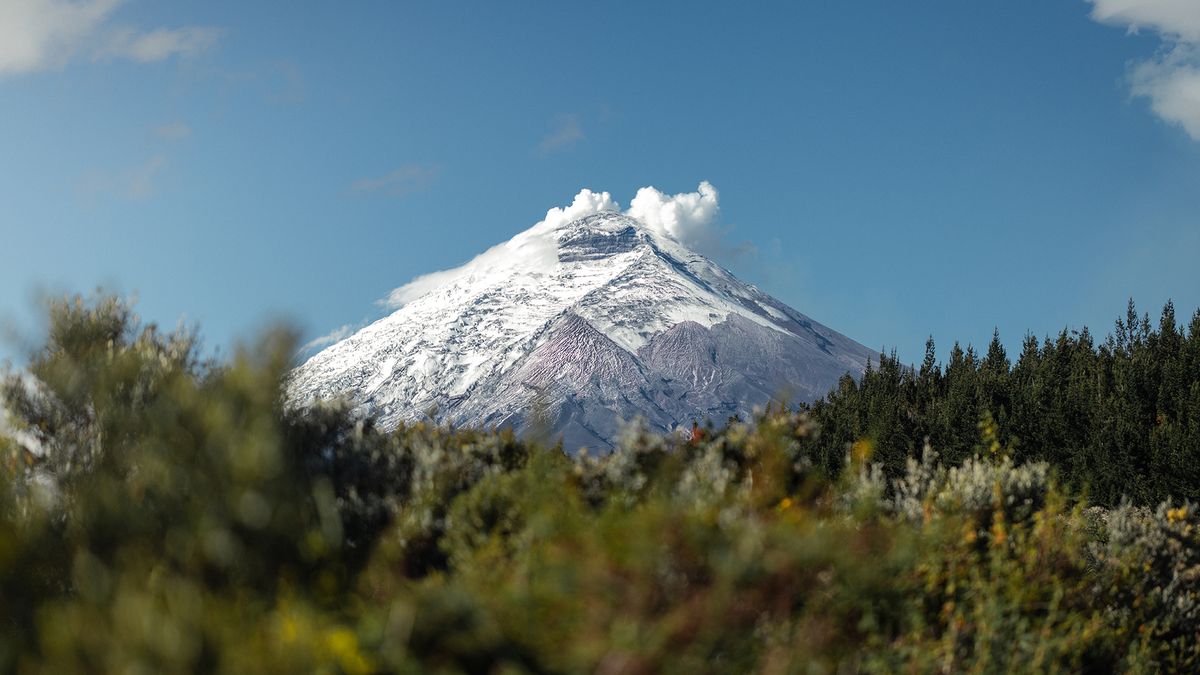 Promover más el producto de Avenida de los Volcanes forma parte de los planes del nuevo Gobierno para atraer más turismo receptivo. - Ladevi Medios y Soluciones Promover más el producto de Avenida de los Volcanes forma parte de los planes del nuevo Gobierno para atraer más turismo receptivo.