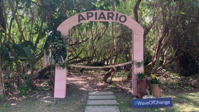 El apiario inaugurado recientemente por Iberostar en el Iberostar Bávaro.