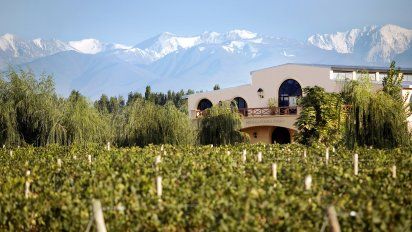 Bodega Piedra Negra: inversión millonaria en vinos premium  