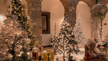 3 sitios imperdibles esta Navidad muy cerca de Ciudad de México