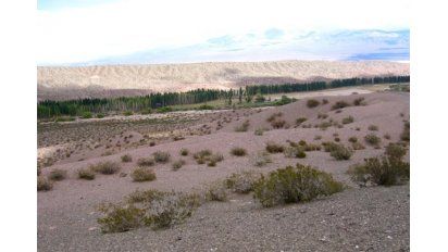 Los sonidos del silencio