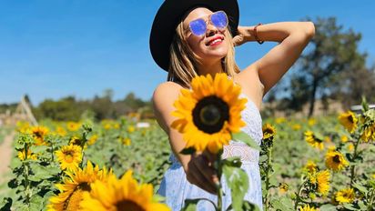 Recibe el verano en este hermoso santuario de girasoles en Tlaxcala&nbsp;