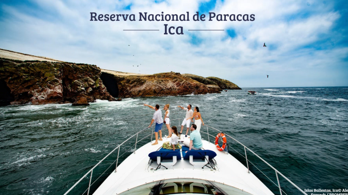 La Reserva Nacional de Paracas ofrece observar la biodeversidad marina de la región. La Reserva Nacional de Paracas ofrece observar la biodeversidad marina de la región.