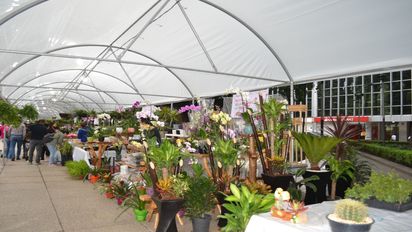 Descubre lo que tiene para ti esta feria en Ciudad de México.&nbsp;