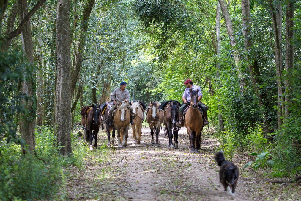 Escapadas al campo: esta vez a la Estancia La Bandada, en la provincia de Buenos Aires.