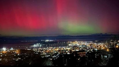 Te contamos cómo hacer para ver auroras polares en Ushuaia.