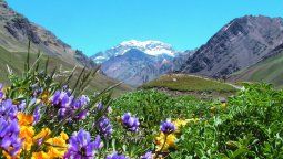 La imponencia del Aconcagua se puede apreciar desde los caminos de la Alta Montaña en Mendoza.