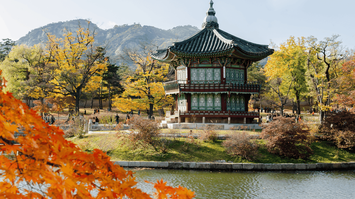 Vacaciones en Corea y Japón: descubrí este espectacular viaje por estos dos destinos de Asia.
