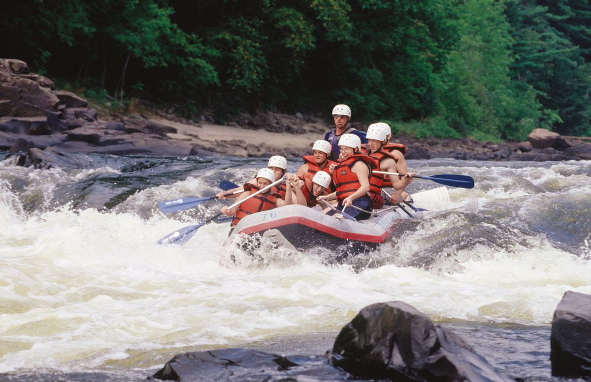 En Québec existe una oferta de actividades para realizar en familia que van desde observar osos negros hasta admirar la flora y fauna de diversos parques.