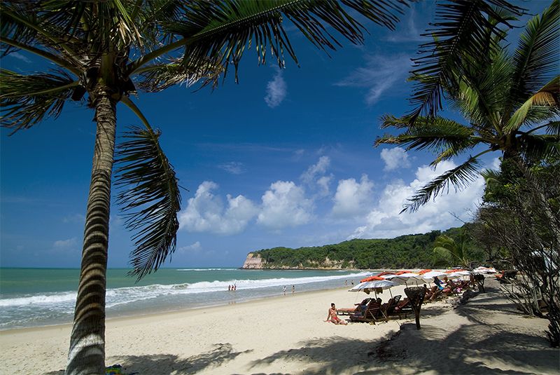Pipa es otra de las increíbles playas de Brasil donde los delfines habitan en total libertad.